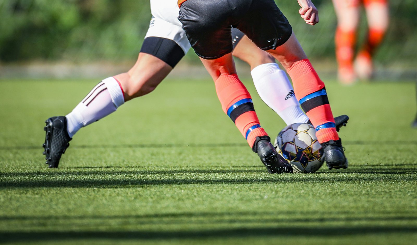Preparation Phase